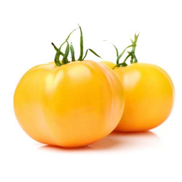 Tomate jaune 