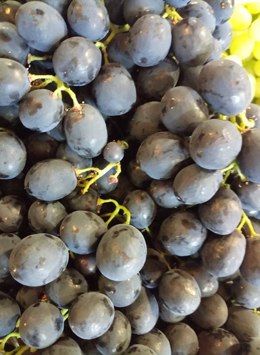 raisin Noir 500gr Muscat 
